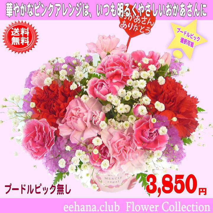 母の日 2025 花 ギフト 当店人気No1 母の日Happyアレンジ3,850円 送料