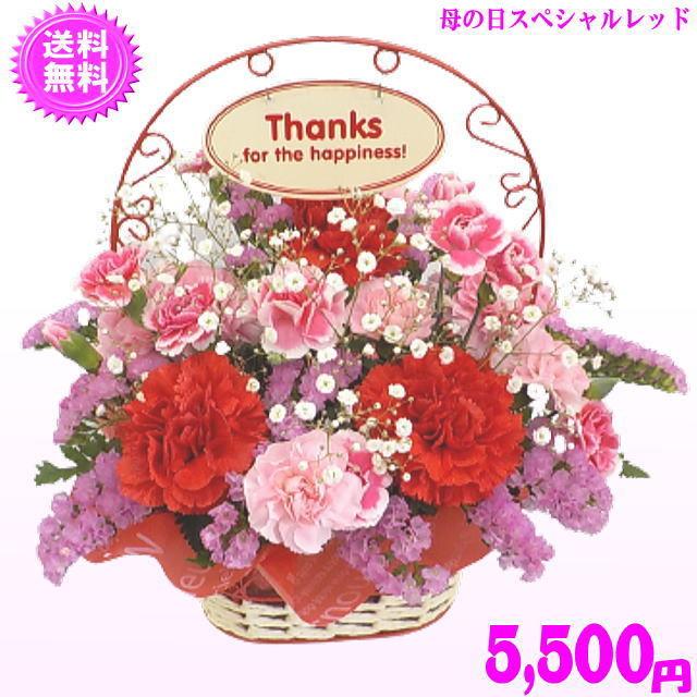 母の日 2025 花 ギフト 特割中！ 豪華 母の日スペシャルアレンジ5,500