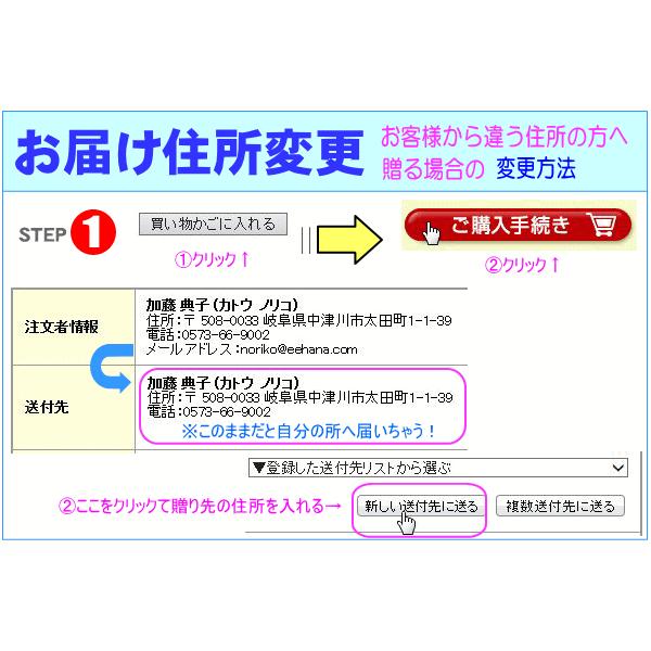 母の日 2024 花 ギフト 特割中！ 豪華 母の日スペシャルアレンジ5,500円 送料無料送料無料 カーネーション 母の日ギフト 50代 60代 70代 80代｜eehana｜12