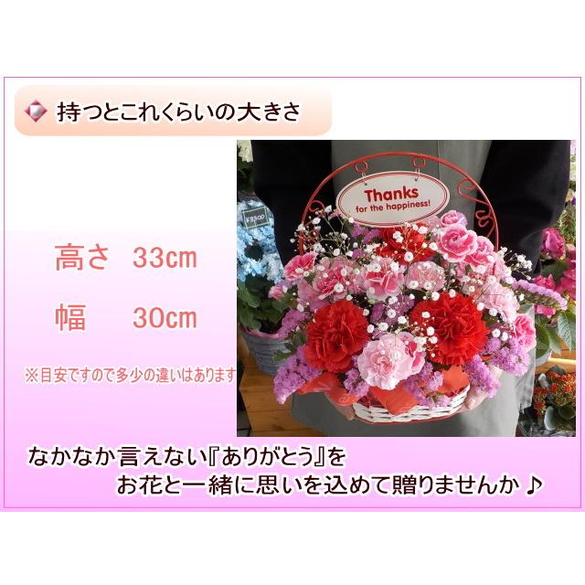 フラワーアレンジメント／華やか／母の日の贈り物やお飾りにいかがですか✿*: 母の日 2025 花 ギフト 特割中！ 豪華 母の日スペシャルアレンジ