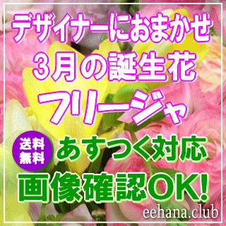 花 ギフト 誕生日 3月の誕生花 フリージア デザイナーにおまかせフラワー3,500円 送料無料 翌日配達   あすつく対応 フラワーアレンジ・花束｜eehana