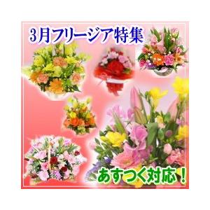 花 ギフト 誕生日 3月の誕生花 フリージア デザイナーにおまかせフラワー3 500円 送料無料 翌日配達 あすつく対応 フラワーアレンジ 花束 Hk 0303 いいhana倶楽部 通販 Yahoo ショッピング