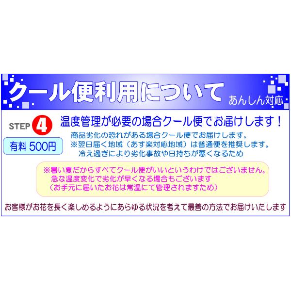 花 ギフト 誕生日 土日祝も営業　ホステス・キャバ嬢さん専用フラワー3,500円 送料無料 翌日配達  あすつく対応  メッセージカード付き｜eehana｜11