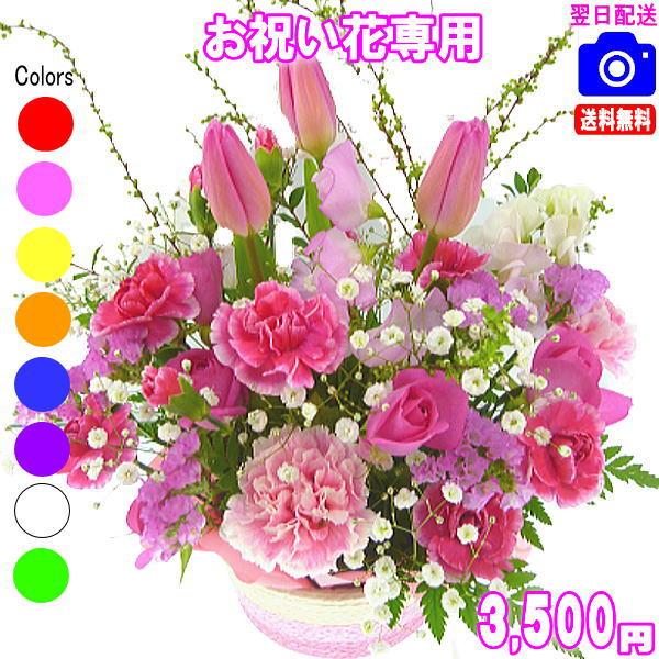 土日祝も営業 お祝い花専用フラワー3,500円 送料無料 翌日配達 出産祝 結婚祝 新築祝 開店祝 爆買（Yahoo!・いいHana倶楽部）