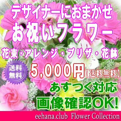 土日祝も営業 お祝い花専用フラワー5,000円 送料無料 翌日配達  あすつく対応 出産祝 結婚祝 新築祝 開店祝｜eehana｜02