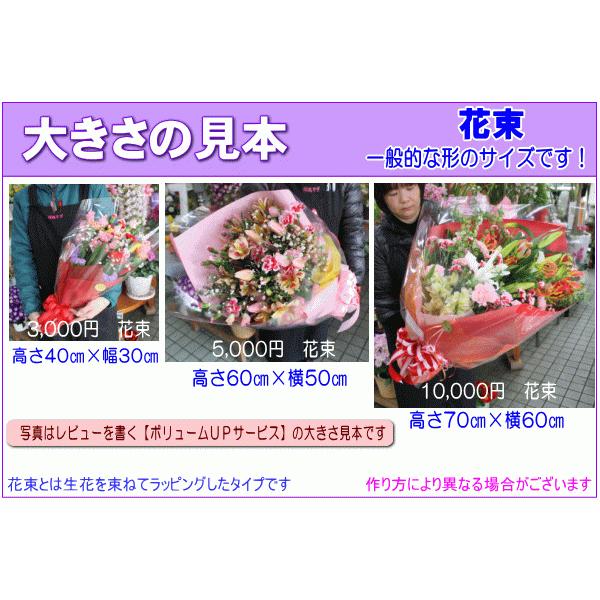 土日祝も営業 お祝い花専用フラワー5,000円 送料無料 翌日配達  あすつく対応 出産祝 結婚祝 新築祝 開店祝｜eehana｜05