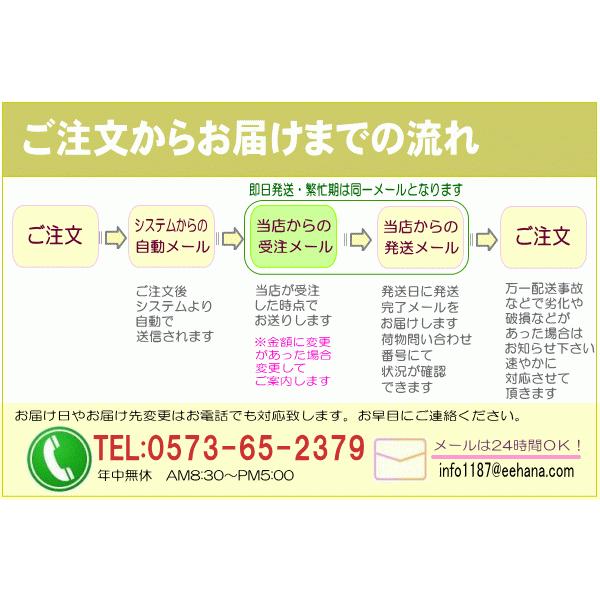 土日祝も営業 お祝い花専用フラワー5,000円 送料無料 翌日配達  あすつく対応 出産祝 結婚祝 新築祝 開店祝｜eehana｜08