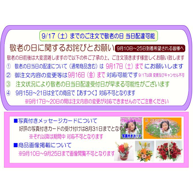 敬老の日専用デザイナーにおまかせフラワー3,500円 送料無料｜eehana｜06