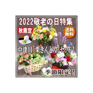 2024敬老の日 特割 中津川 栗きんとん  と枯れないお花 長寿プリザセットが5,000円 送料無料｜eehana｜09