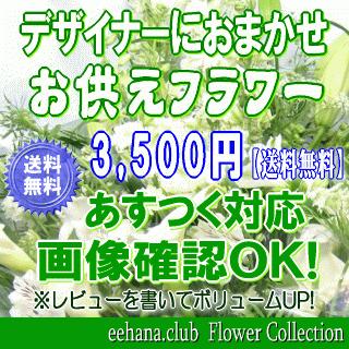 お供え・お悔やみに贈る花 アレンジメント 花束 3,500円 送料無料 翌日配達  あすつく対応 法事 法要 葬儀 お彼岸 お盆 ペット【200円OFFクーポン進呈】｜eehana｜02