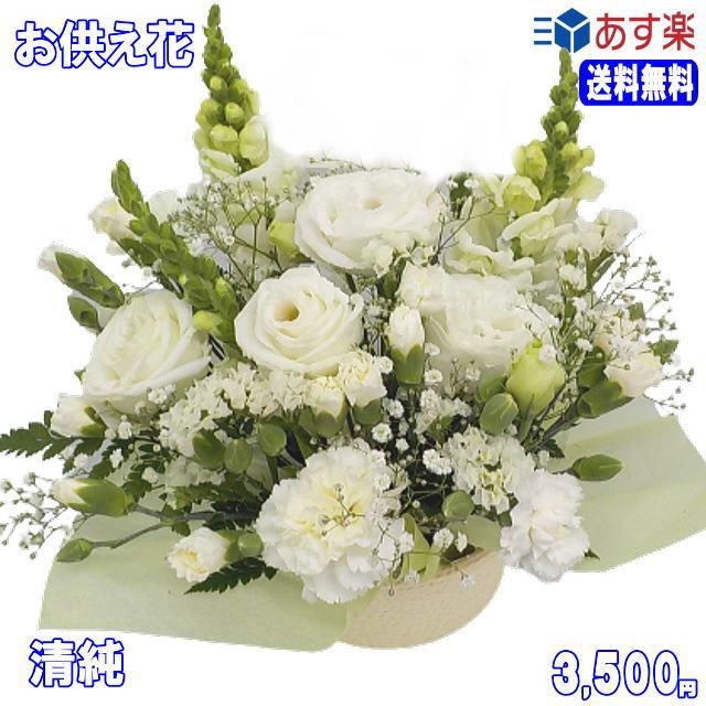 国内即発送 ペットのお供え お悔やみに贈る花 フラワーアレンジ 清純 3 500円 今だけ 送料無料 翌日配達 Wantannas Go Id