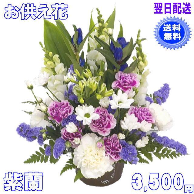 お供え・お悔やみに贈る花　フラワーアレンジ 紫蘭  3,500円 今だけ 送料無料 翌日配達｜eehana