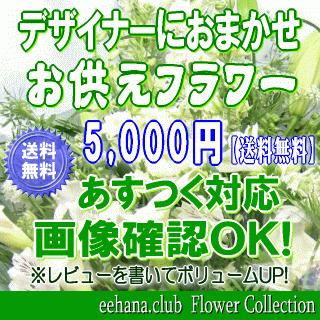 お供え・お悔やみに贈る花 アレンジメント 花束 5,000円 送料無料 翌日配達  クール便対応！ 法事 法要 葬儀 お彼岸 お盆 ペット爆買 |  | 01