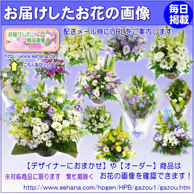 注目の福袋 お供え お悔やみに贈る花 アレンジメント 花束 5 000円 送料無料 翌日配達 あすつく対応 法事 法要 葬儀 お彼岸 お盆 ペット Aynaelda Com