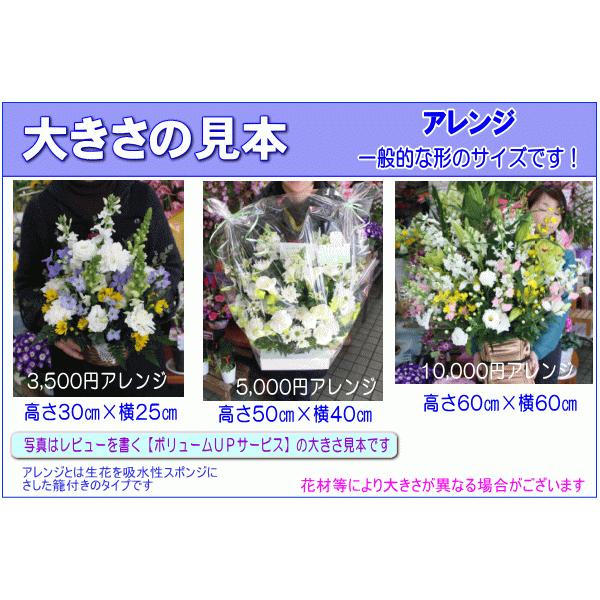 注目の福袋 お供え お悔やみに贈る花 アレンジメント 花束 5 000円 送料無料 翌日配達 あすつく対応 法事 法要 葬儀 お彼岸 お盆 ペット Aynaelda Com
