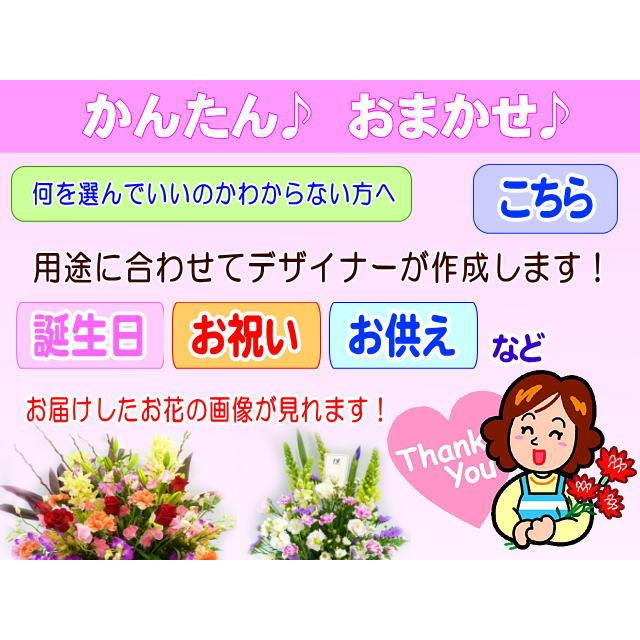 お供え・お悔やみに贈る花 アレンジメント 花束 5,000円 送料無料 翌日配達  クール便対応！ 法事 法要 葬儀 お彼岸 お盆 ペット爆買 |  | 05