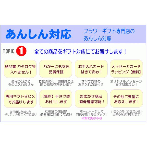 お供え・お悔やみに贈る花 アレンジメント 花束 5,000円 送料無料 翌日配達  あすつく対応 法事 法要 葬儀 お彼岸 お盆 ペット【200円OFFクーポン進呈】｜eehana｜09