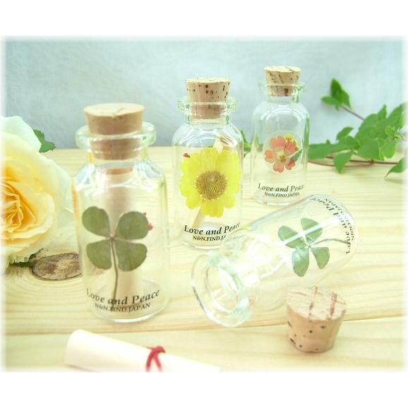 お洒落なメッセージボトル 四つ葉の押し花 小花 この商品のみの購入はできません 今だけ ３００円 Osb 051 いいhana倶楽部 通販 Yahoo ショッピング