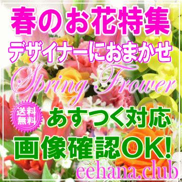春の贈りもの デザイナーにおまかせ18,000円 送料無料 翌日配達 15時まであすつく対応