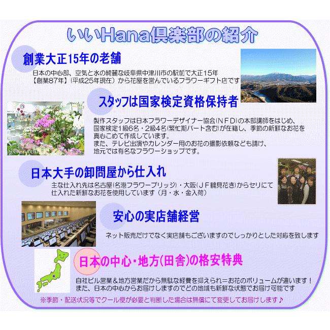 花 ギフト 誕生日 1月の誕生花デザイナーにおまかせ5,000円 送料無料 翌日配達  あすつく対応 フラワーアレンジ・花束