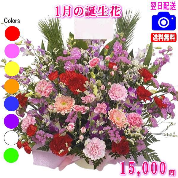 Sale 30 Off 花 ギフト バースデー1月の誕生花デザイナーにおまかせ15 000円 送料無料 あすつく対応 フラワーアレンジ 花束 激安 即納 Copyme Io