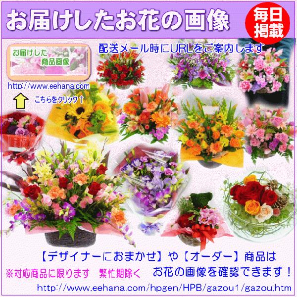 花 ギフト 誕生日 2月の誕生花チューリップデザイナーにおまかせフラワー7,000円 送料無料 翌日配達   あすつく対応  フラワーアレンジ・花束｜eehana｜05