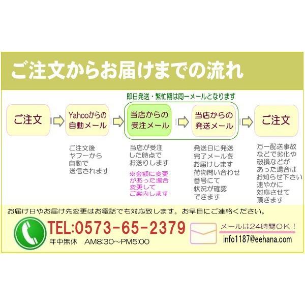 花 ギフト 誕生日 2月の誕生花チューリップデザイナーにおまかせフラワー20,000円 送料無料 翌日配達   あすつく対応  フラワーアレンジ・花束｜eehana｜06