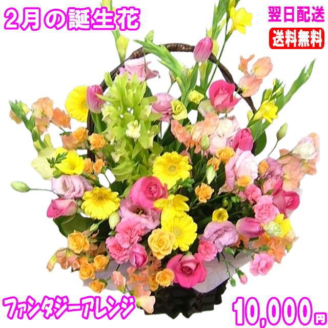 花 ギフト バースデー2月の誕生花チューリップファンタジーアレンジ10 000円 送料無料 花言葉付き チューリップ あすつく対応 Ta 0307 いいhana倶楽部 通販 Yahoo ショッピング