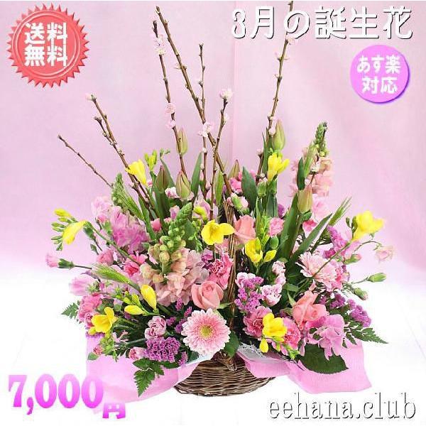 花 ギフト 誕生日 3月の誕生花 マーチアレンジ7,000円 送料無料 翌日配達  花言葉付き  フリージア   あすつく対応｜eehana