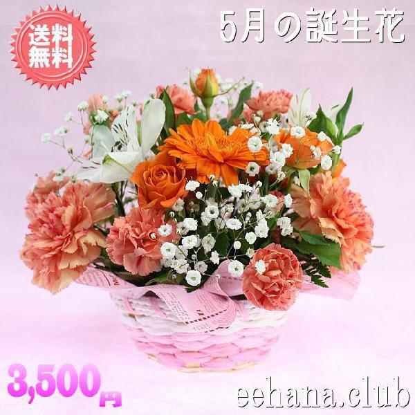 花 ギフト 誕生日 5月の誕生花 オレンジアレンジ3,500円 送料無料 翌日配達   あすつく対応   花言葉カード付｜eehana