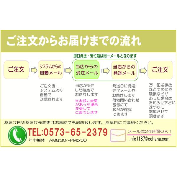 花 ギフト 誕生日 6月の誕生花 デザイナーにおまかせ22,000円 送料無料 翌日配達   あすつく対応   カーネーション   フラワーアレンジ・花束｜eehana｜06