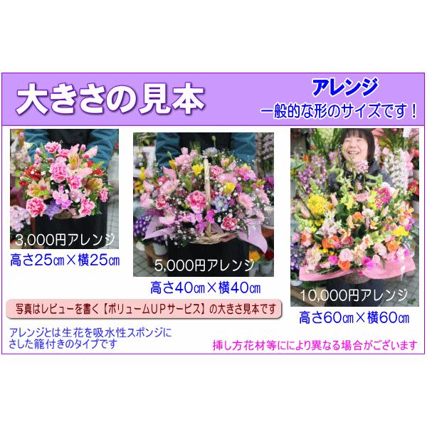 デザイナーにおまかせ 花 ギフト 誕生日 7月の誕生花 3,500円 送料無料