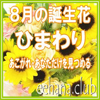 ひまわり花束 花 ギフト 誕生日 8月の誕生花6,000円 送料無料 翌日配達