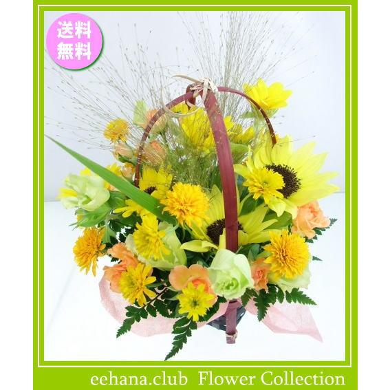 花 ギフト バースデー8月の誕生花 ひまわりスマイルアレンジ3 800円 送料無料 あすつく対応 写真付きメッセージカード選択可能