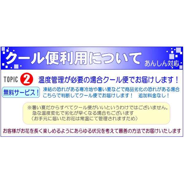 花 ギフト 誕生日 8月の誕生花　ひまわりセーヌアレンジ10,000円 送料無料 翌日配達  花言葉付き　あすつく対応 写真付きメッセージ選択可｜eehana｜06