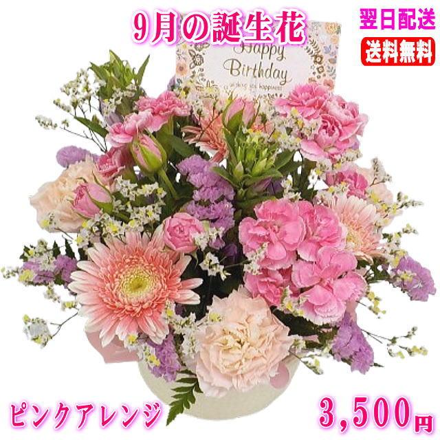 花 ギフト 誕生日 9月の誕生花 ピンクアレンジ3 500円 送料無料 翌日配達 花言葉付き りんどう 写真付きメッセージ選択可 Ta 0912 いいhana倶楽部 通販 Yahoo ショッピング