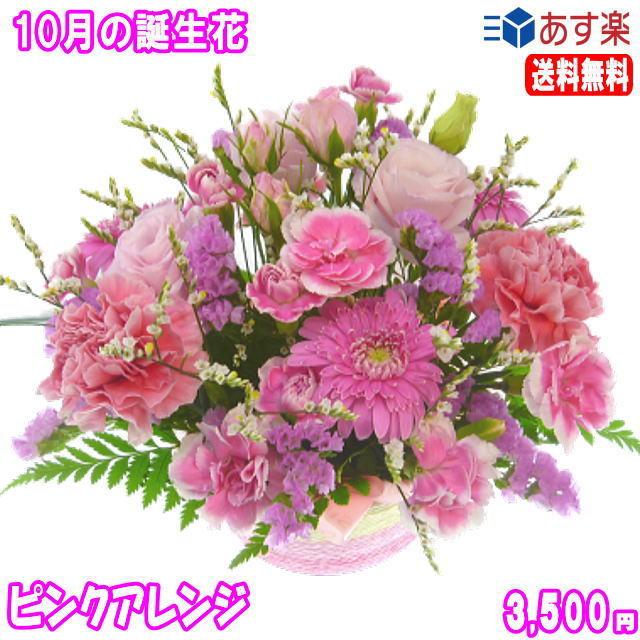 18 Off 花 ギフト 誕生日 10月の誕生花 ピンクアレンジ3 500円 送料無料 翌日配達 花言葉付き ガーベラ 写真付きメッセージ選択可 Sdcraft Com Ua