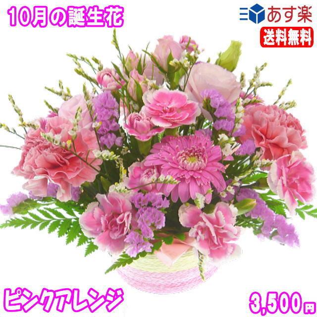 18 Off 花 ギフト 誕生日 10月の誕生花 ピンクアレンジ3 500円 送料無料 翌日配達 花言葉付き ガーベラ 写真付きメッセージ選択可 Sdcraft Com Ua