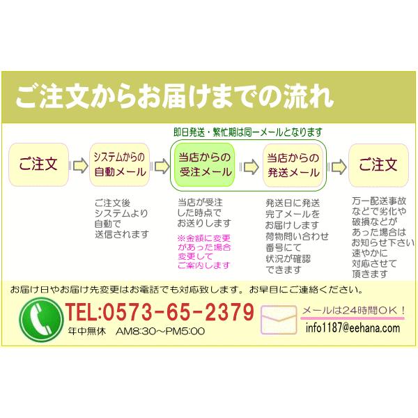 花 ギフト 誕生日 10月の誕生花 デザイナーにおまかせ20，000円 送料無料 翌日配達 フラワーアレンジ・花束_6