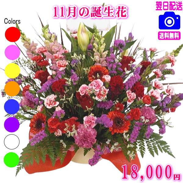 花 ギフト 誕生日 11月の誕生花 デザイナーにおまかせ18,000円 送料