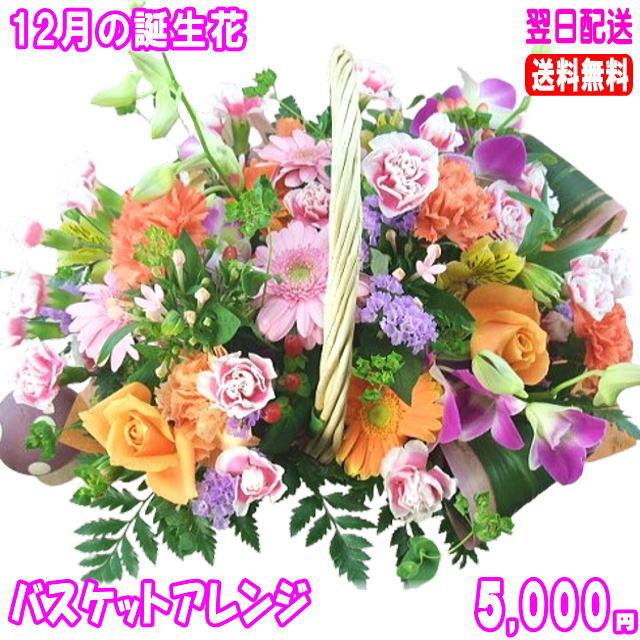 花 ギフト バースデー12月の誕生花バスケットアレンジ5 000円 送料無料 花言葉付きデンファレ あすつく対応 Ta 131 いいhana倶楽部 通販 Yahoo ショッピング