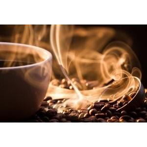 エクーア シベットコーヒー ベンゲット産 豆 50g 送料無料 高級 アラビカ種 ジャコウネコ コピルアク 贈答 ギフト プレゼント 猫 珈琲豆 焙煎 Phcfciv3wbaj50a イーグルアイ フィリピーノ 通販 Yahoo ショッピング