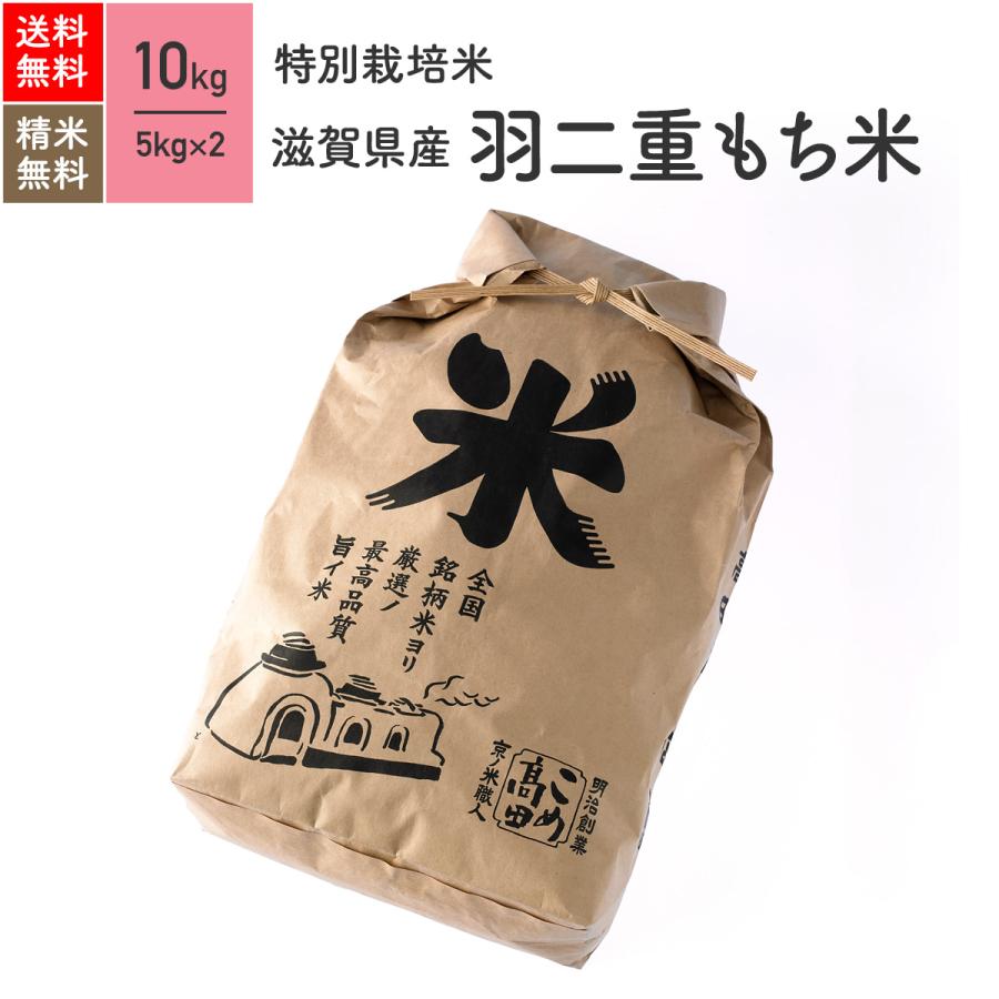 ふるさと納税 K933 ＜2024年04月月内発送＞令和5年産 先行予約受付開始