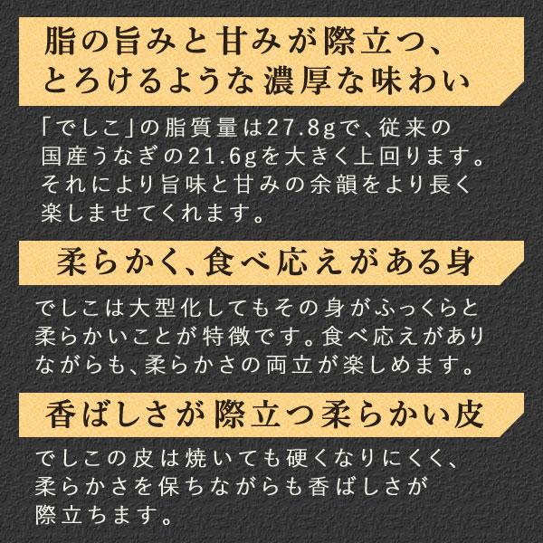 母の日 うなぎ 国産 蒲焼き 鰻 ギフト 浜名湖 特大 でしこ 食べ物 海鮮 食品 誕生日 プレゼント 早割 国産うなぎ ウナギ うなぎ蒲焼 お取り寄せ 3〜4人用_10