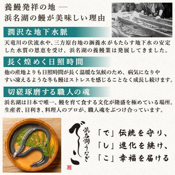 母の日 うなぎ 国産 蒲焼き 鰻 ギフト 浜名湖 特大 でしこ 食べ物 海鮮 食品 誕生日 プレゼント 早割 国産うなぎ ウナギ うなぎ蒲焼 お取り寄せ 3〜4人用_13