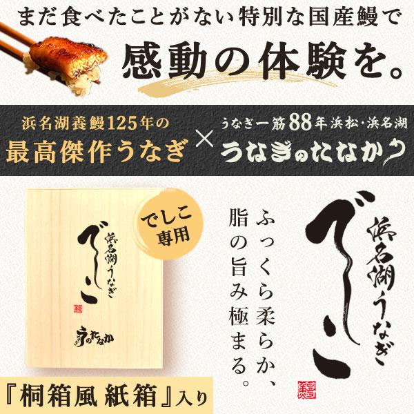 母の日 うなぎ 国産 蒲焼き 鰻 ギフト 浜名湖 特大 でしこ 食べ物 海鮮 食品 誕生日 プレゼント 早割 国産うなぎ ウナギ うなぎ蒲焼 お取り寄せ 3〜4人用_2