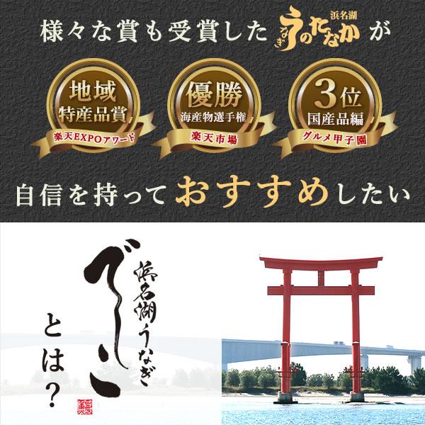 母の日 うなぎ 国産 蒲焼き 鰻 ギフト 浜名湖 特大 でしこ 食べ物 海鮮 食品 誕生日 プレゼント 早割 国産うなぎ ウナギ うなぎ蒲焼 お取り寄せ 3〜4人用_7