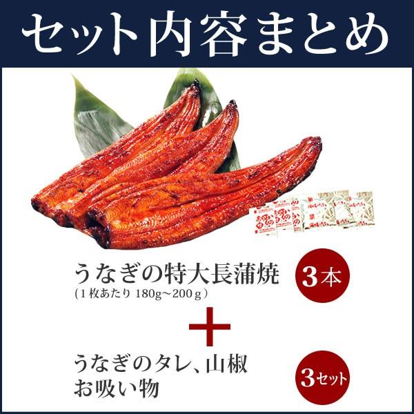 国産 うなぎ 蒲焼き 食べ物 海鮮 国産うなぎ ギフト プレゼント お祝い 内祝 お返し 誕生日 蒲焼3本 お取り寄せグルメ 風呂敷 F62 3〜5人用 3尾_10