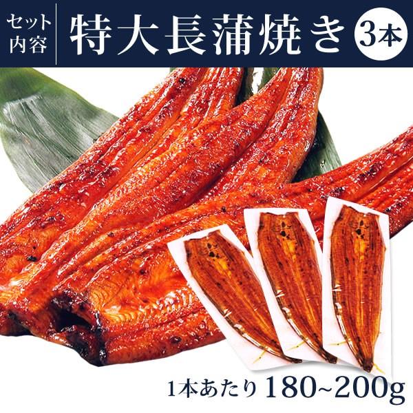 父の日 うなぎ ギフト 国産 鰻 2026 早割 食べ物 食品 海鮮 蒲焼き 浜名湖 誕生日 プレゼント 国産うなぎ お中元 うなぎ蒲焼 風呂敷 2〜3人用 3尾_11