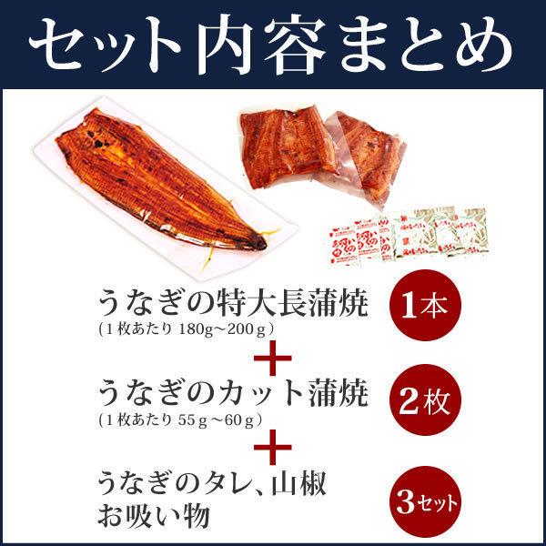 うなぎ 国産 ギフト お取り寄せグルメ 蒲焼き 食べ物 誕生日 お祝い 内祝 お返し 送料無料 ウナギ 鰻 母の日 プレゼント 風呂敷 FA 2〜3人用 AA｜eel-tanaka｜11